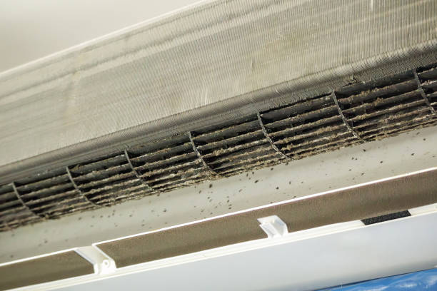 Best Commercial HVAC Duct Cleaning  in Salina, UT